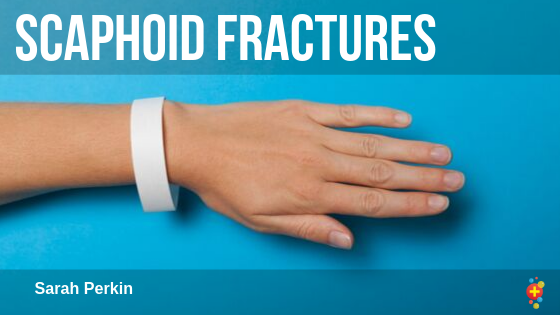 scaphoid-fractures.png Scaphoid Fractures