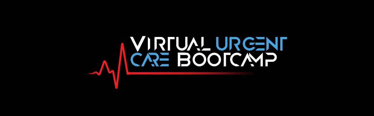 Virtual Boot camp 2020 logo - PSD format final without date (002)