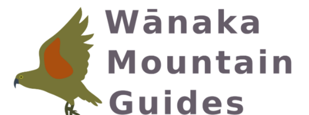 img-1724892268-5066-135963-tbd-asset__aWxvdmVrZWxseQo_CropResizeWzE5MjAsNzIwLDc1LCJwbmciXQ